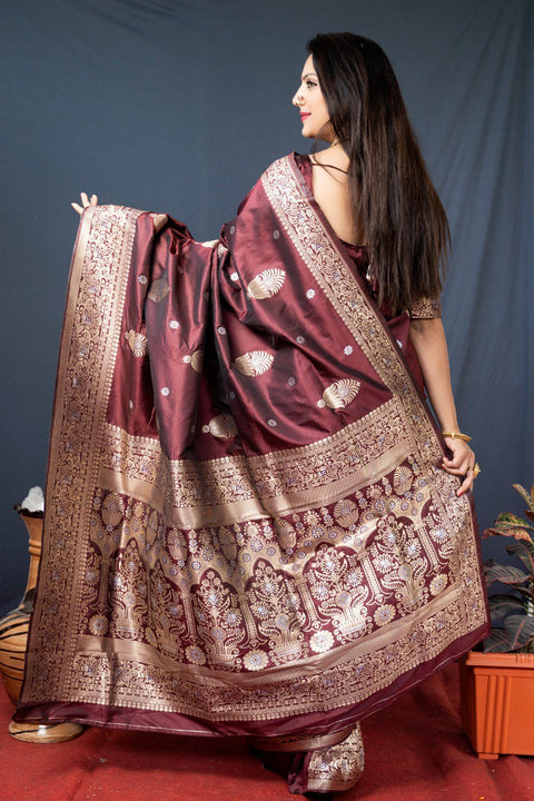 Charvi brown soft silk saree