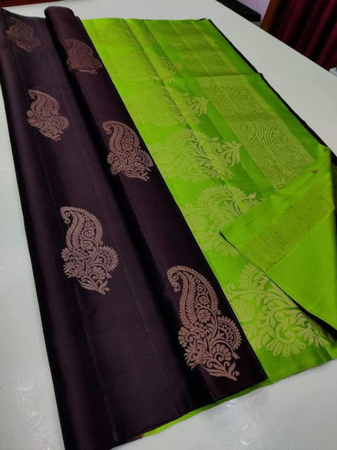 Panchhi  soft silk saree