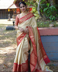 Prihani soft silk saree