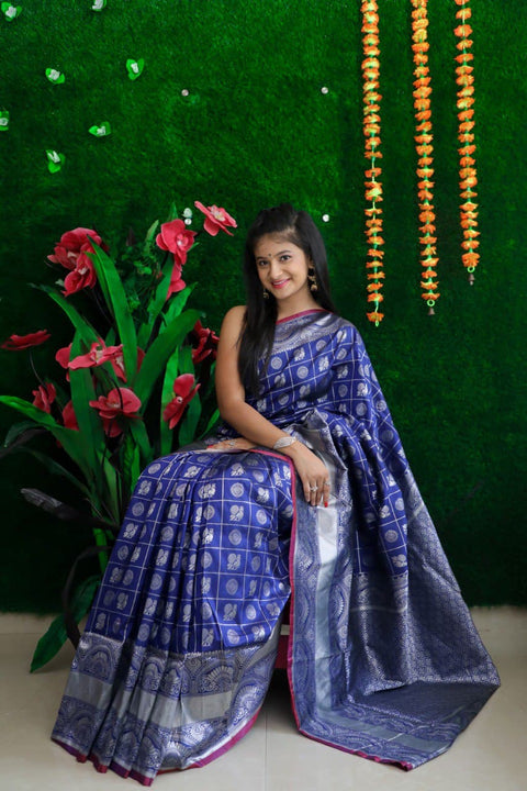 Shankutila soft silk saree